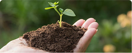 Eco-friendly Certifications