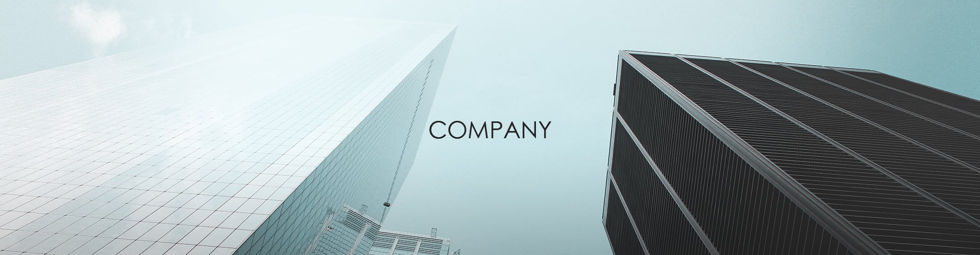 Company