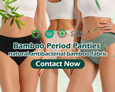 leakproof underwear for women